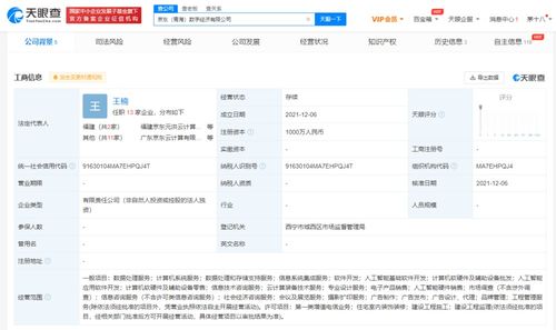 信息系統(tǒng)集成服務(wù) 數(shù)字時(shí)代企業(yè)的智能基石