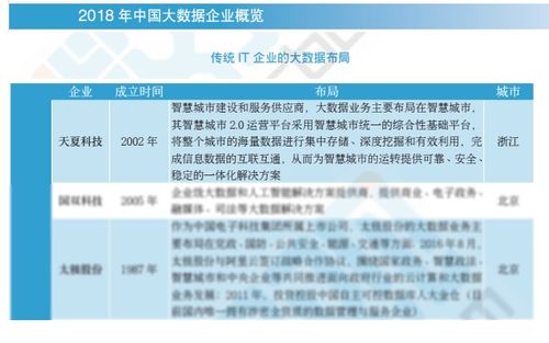 2018中國大數據企業報告出爐，天夏科技榮登IT企業大數據布局榜信息系統集成服務領域
